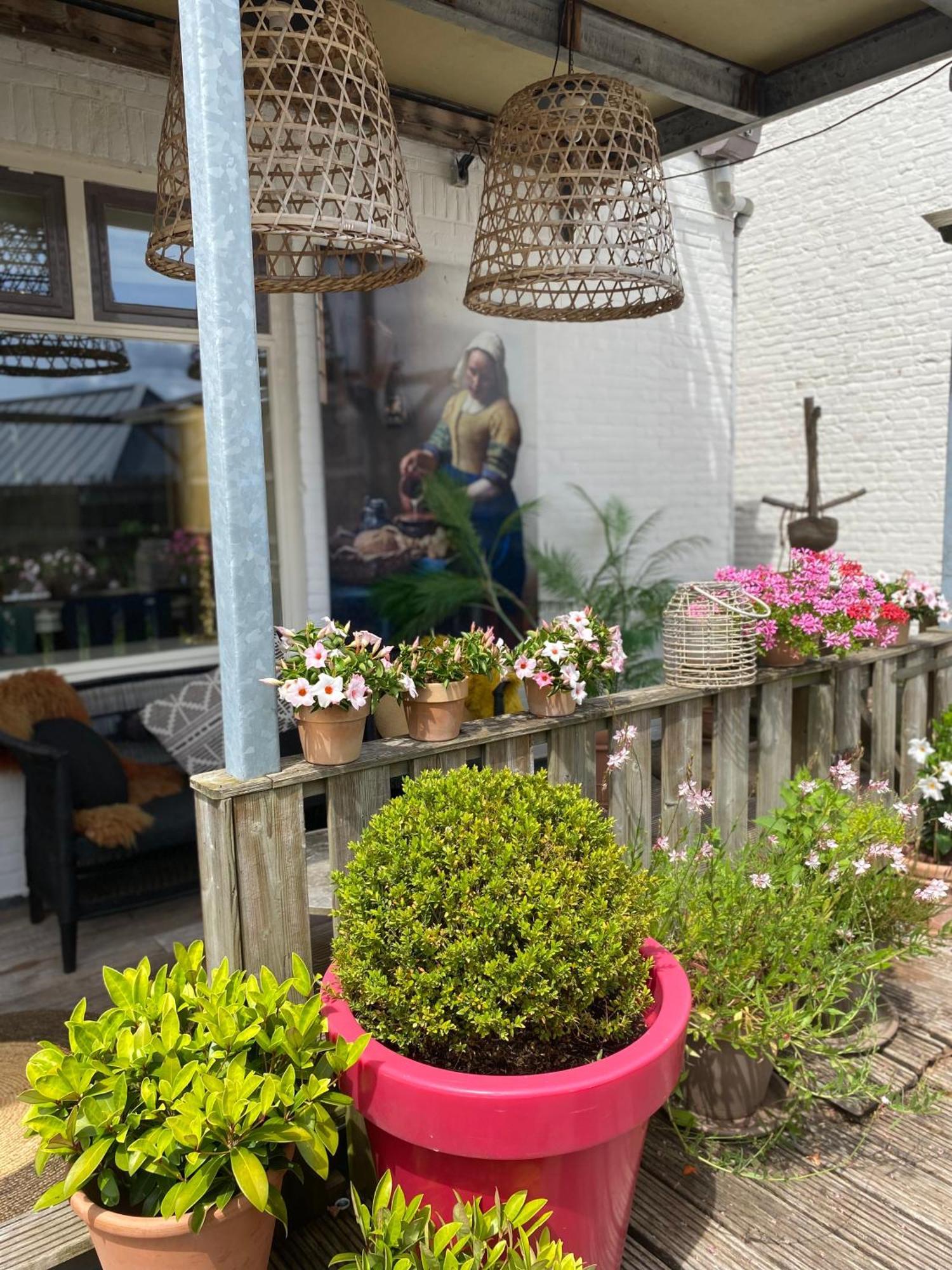 Bubbles & Bed Bed & Breakfast Bilthoven Exterior photo